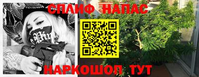 тгк Новозыбков